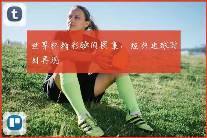 世界杯精彩瞬间图集,经典进球时刻再现
