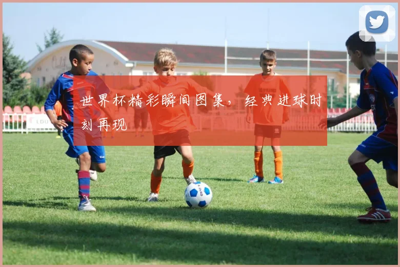世界杯精彩瞬间图集,经典进球时刻再现