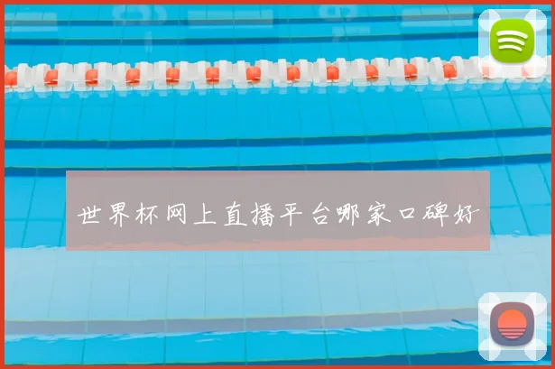 世界杯网上直播平台哪家口碑好