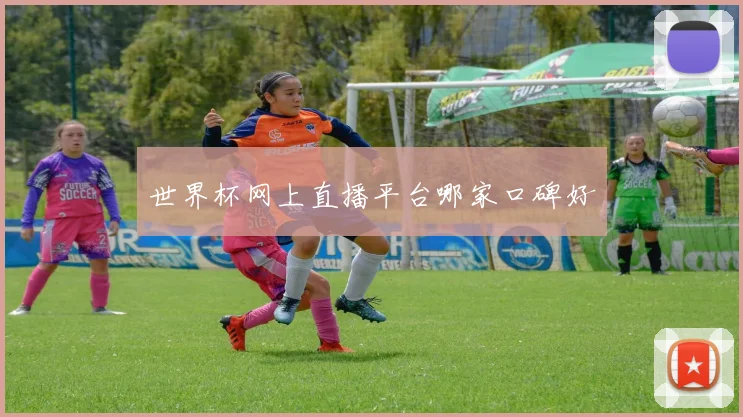 世界杯网上直播平台哪家口碑好